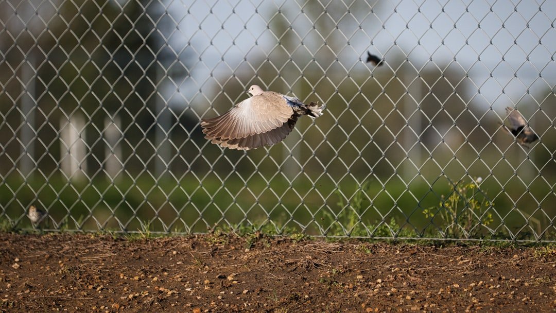 A Poultry Farm's Pollution Problem in Oklahoma Is a Huge Wake-Up Call for Your Business Insurance