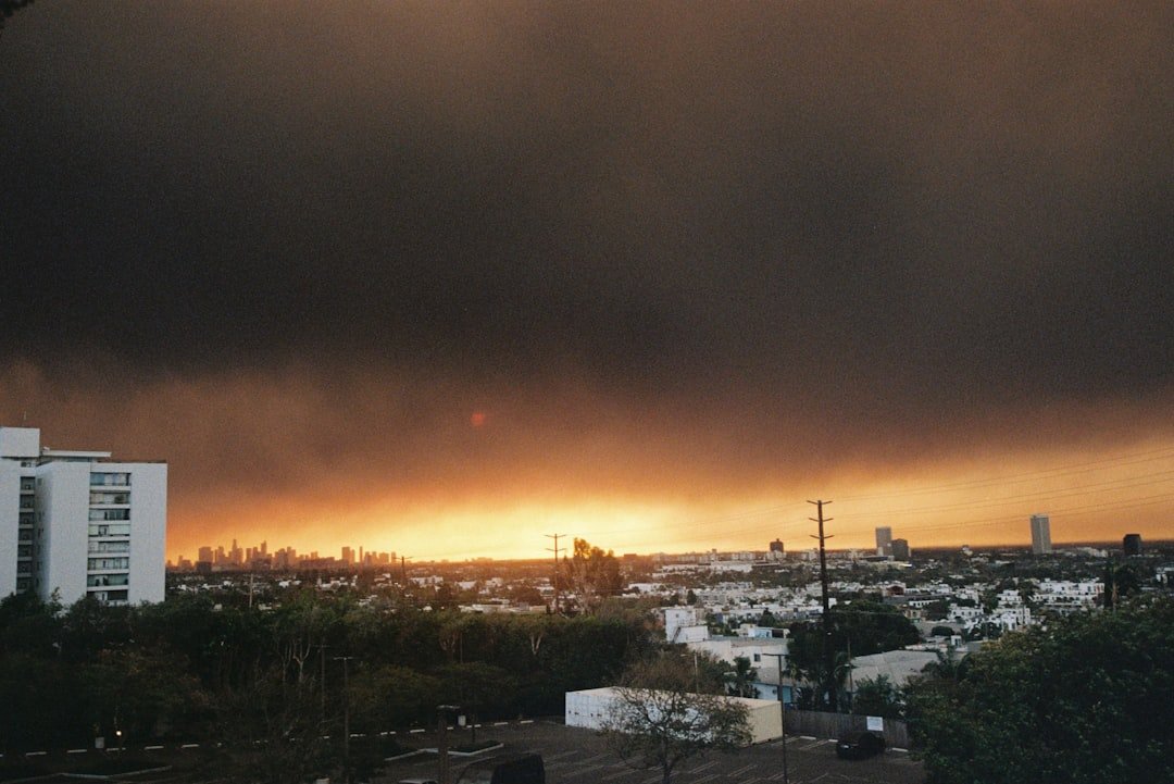 A Year After the LA Fires: How Wildfire Risk Changed Insurance Forever