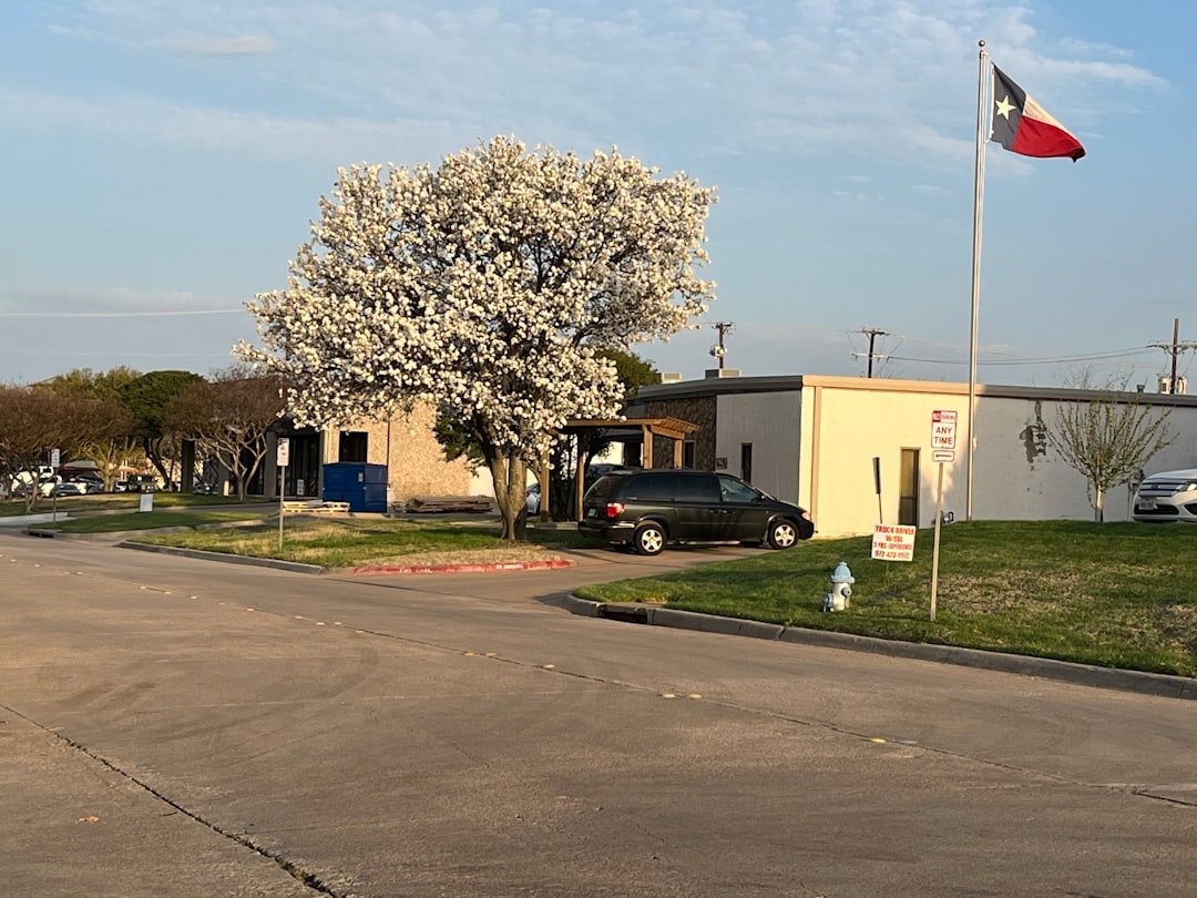 GEICO is Planting Deeper Roots in Texas. Here's What's Happening.