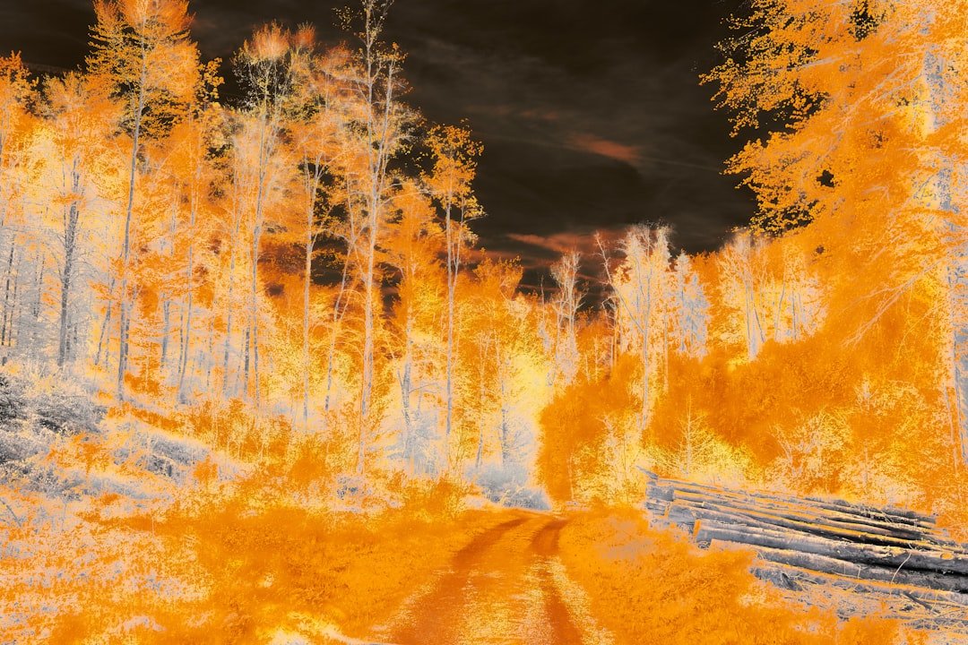 That "Once-in-a-Lifetime" Wildfire? It Might Happen Again Sooner Than We Think