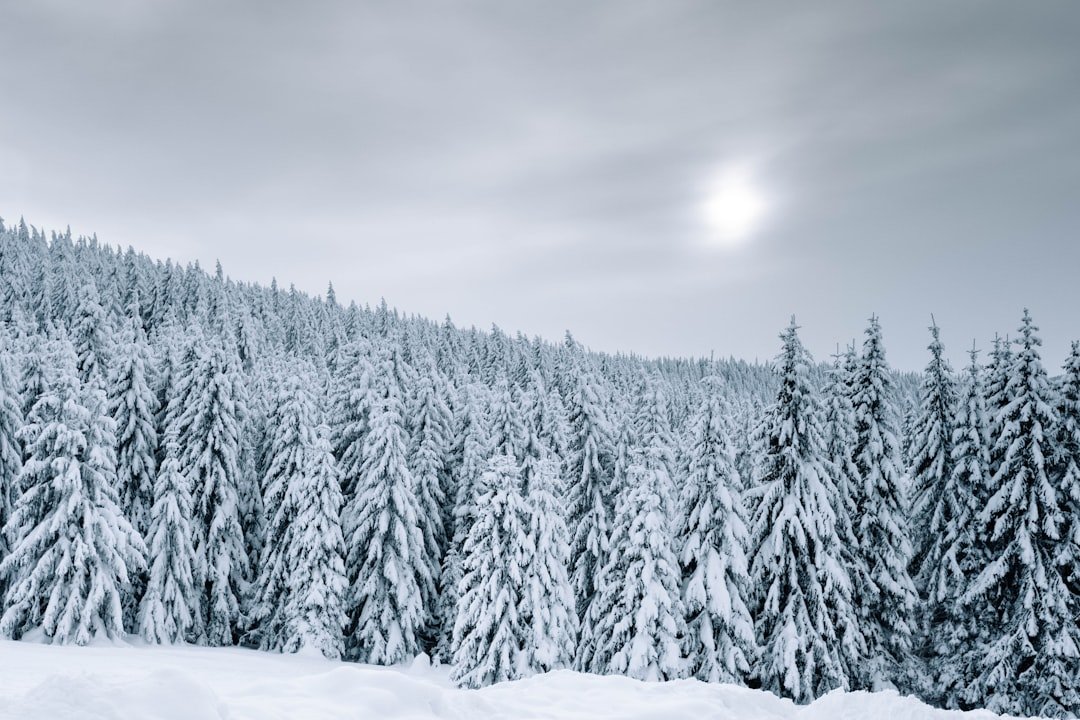 The Quiet Is Over: Why a Major Winter Storm Has Insurers Bracing for Impact
