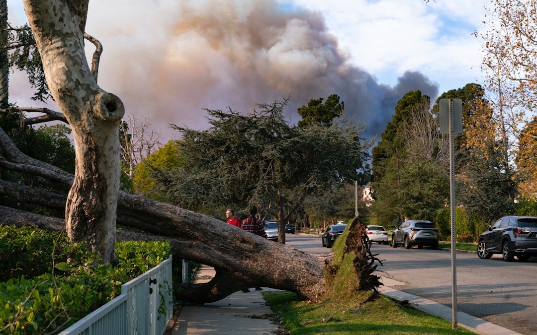 California's New Wildfire Smoke Rules: What They Mean for Your Insurance Claim