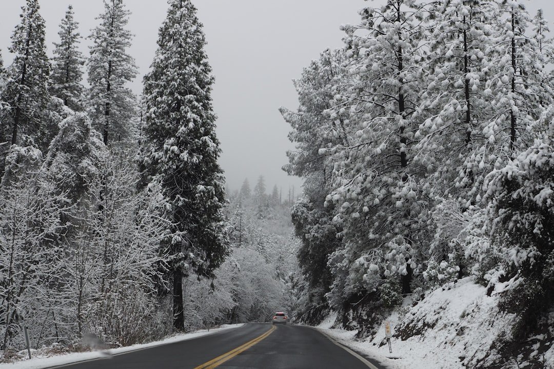 California's Wild Winter Weather: Is Your Insurance Ready for Snow, Floods, and Worse?