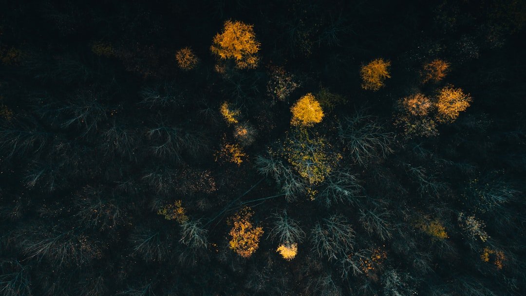 Connecting the Dots: How We Uncover a Hidden Web of Insurance Fraud
