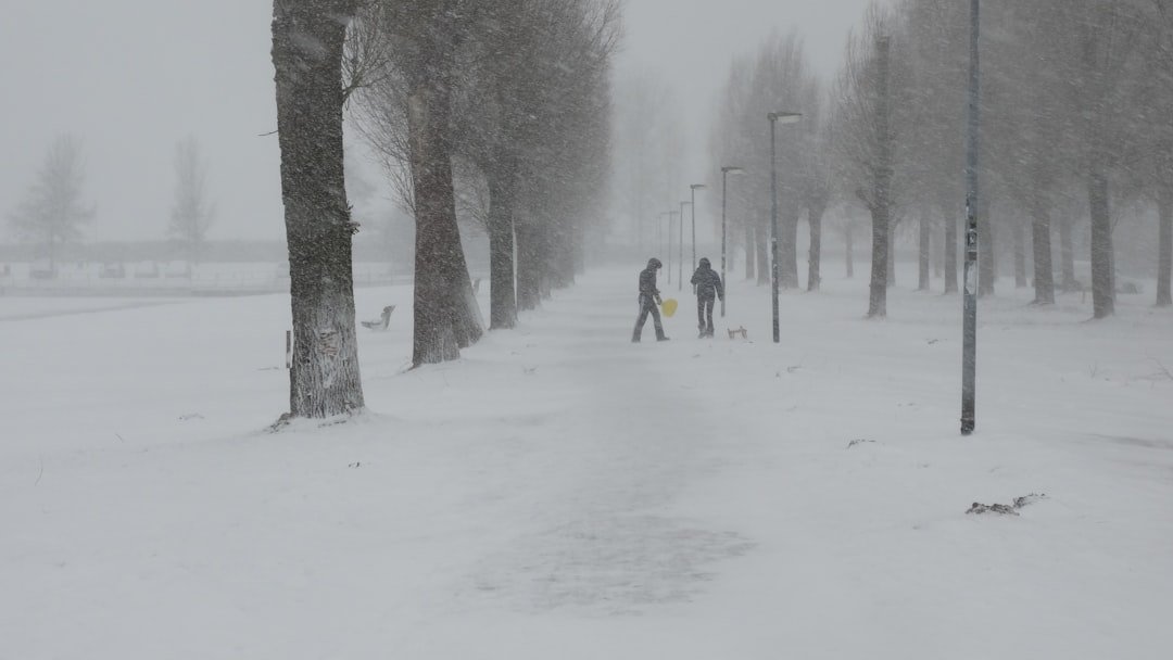 How a Single Blizzard Racked Up a Staggering $38 Billion Bill