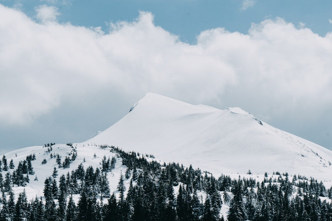 How White Mountains Insurance Engineered Its Massive 2025 Earnings Rebound