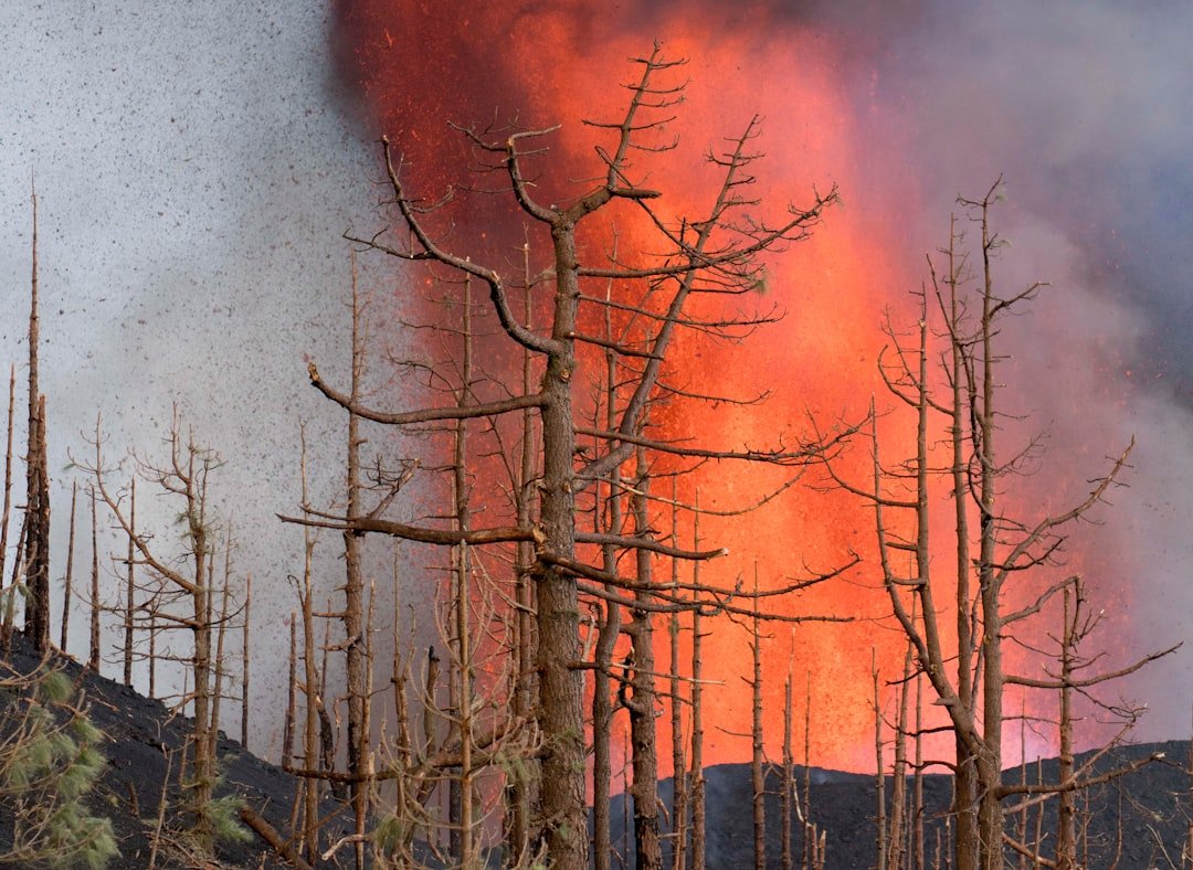 LA Utility Faces Massive Wildfire Lawsuit: What It Means for Insurance