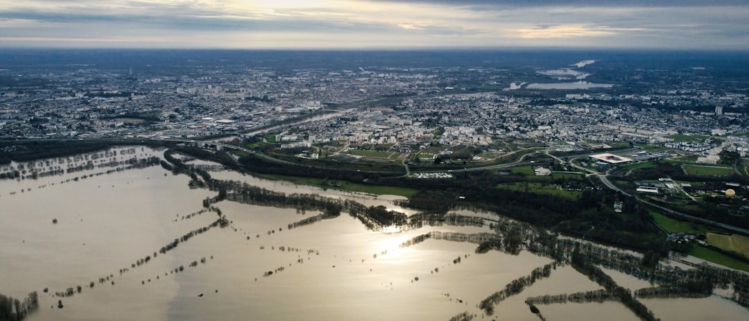 Neptune Flood's Profits Took a Dive. So Why Isn't Anyone Panicking?
