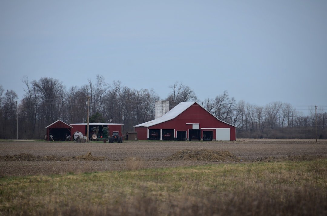 State Farm's Big Comeback: Why They're Making Billions Again (And What It Means for Your Rates)