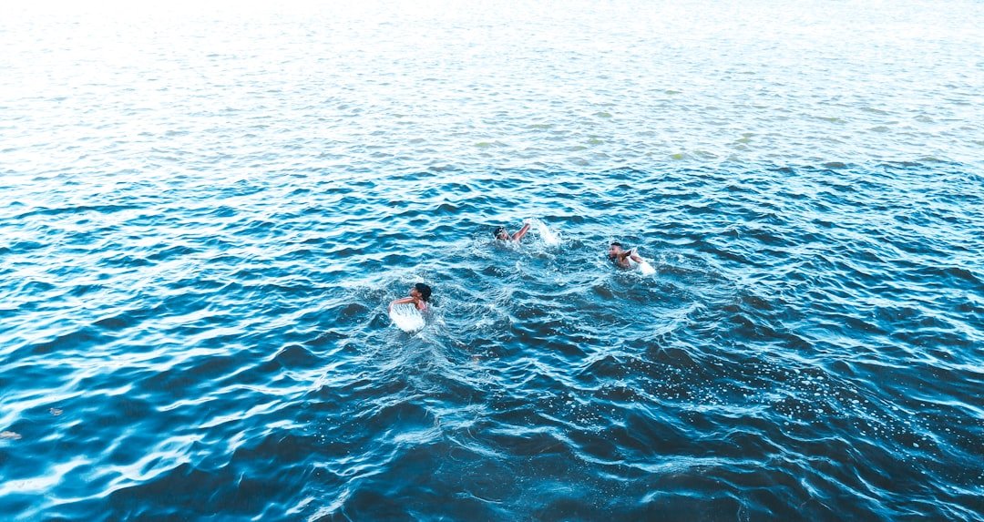 Stop Drowning in Data: A Risk Leader’s Guide to Using Your RMIS Strategically