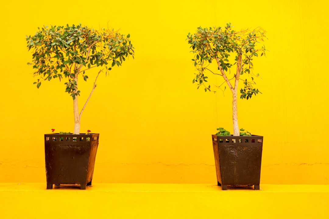 The Real Difference Between Growing Your Agency and Just Getting Bigger