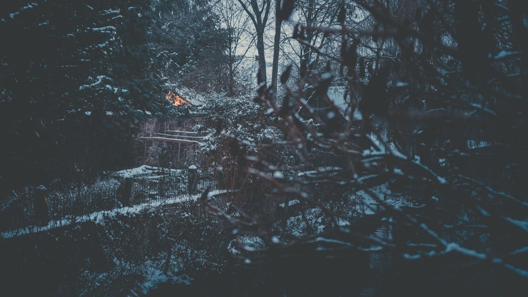 Those Brutal Winter Storms? They're Shaking Up the Entire Insurance World.