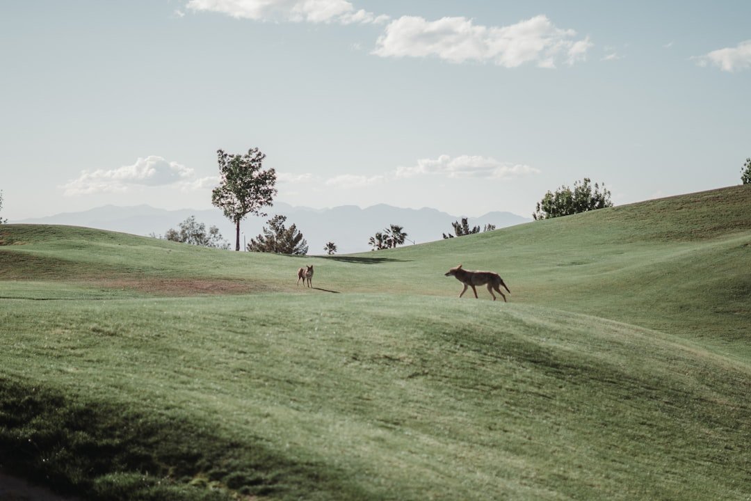 Free Steaks and Golf Simulators: The Hidden Insurance Risks of AI's Building Boom