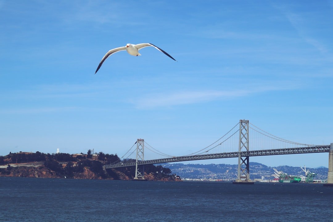 Google's Drones Are Coming to the Bay Area. Let's Talk About the Insurance Mess.