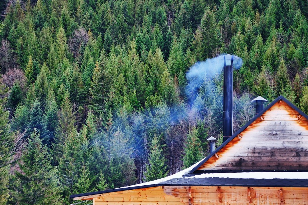 The Hidden Danger in Cabin Air: Are Toxic Fumes on Flights the Next Big Insurance Fight?