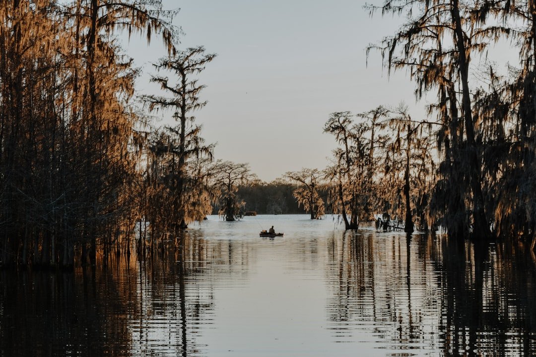Why the Louisiana Farm Bureau Sale is a Bigger Deal Than You Think