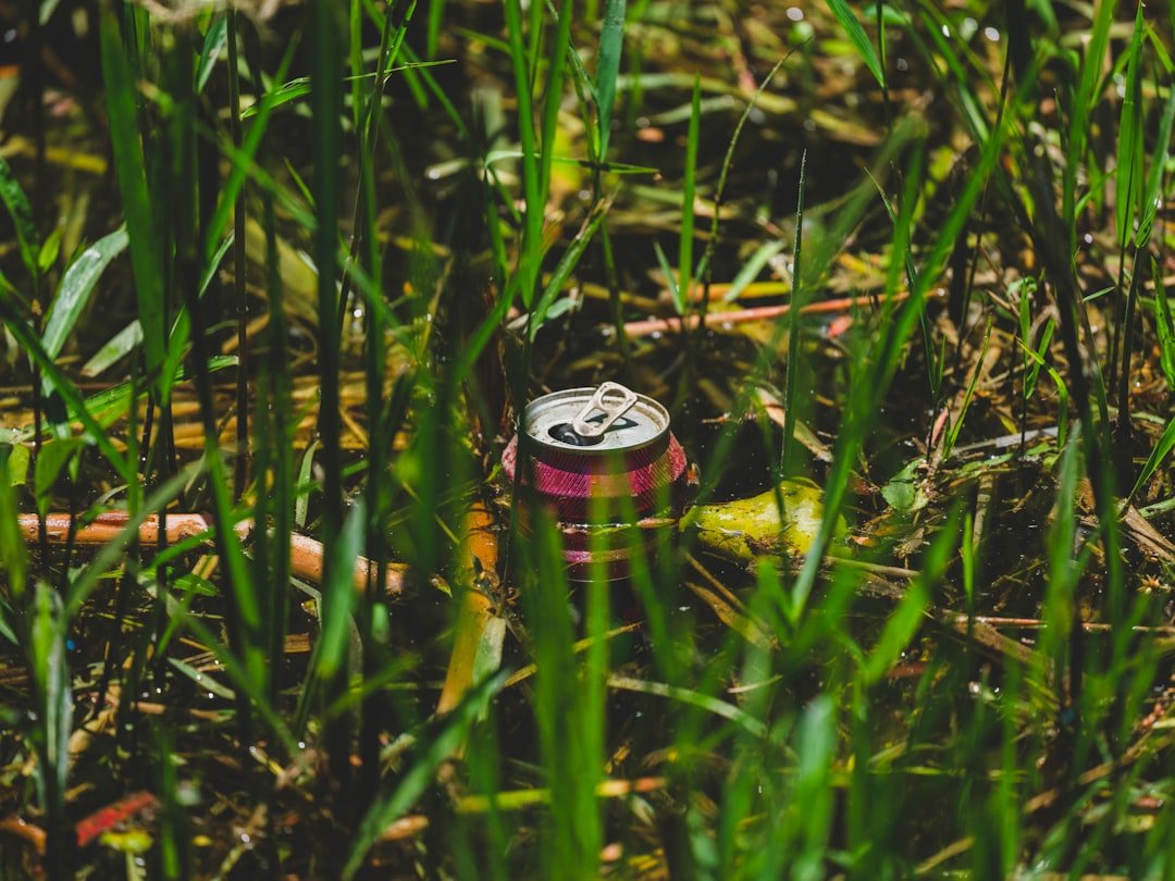 A Hidden Danger: Are Toxic Waste Sites Near You at Risk from Floods and Wildfires?