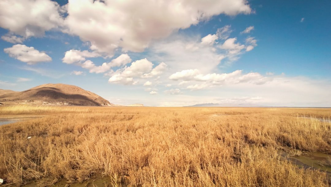 Big Moves in Big Sky Country: Marsh McLennan Agency Acquires Seitz Insurance