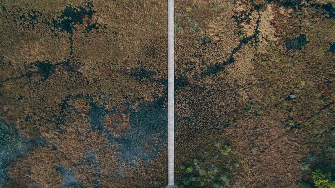 Michigan's New Wildfire Smoke Alerts: What It Means for Your Health and Home Insurance