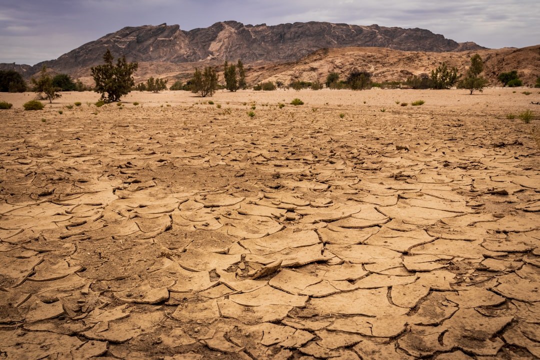 That Record Drought Isn't Just About Your Lawn—It's a Major Warning for Your Insurance