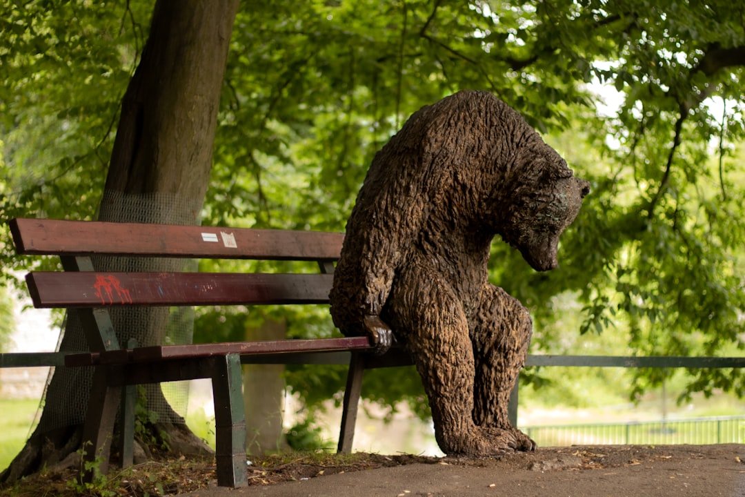 The Un-BEAR-able Truth: Inside the Bizarre Bear Suit Insurance Fraud Scheme