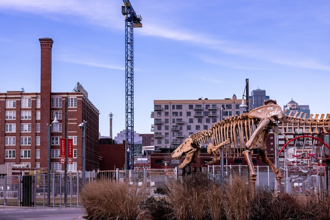 The Unbelievable Tale of the Missouri Fossil Dealer and Disability Fraud