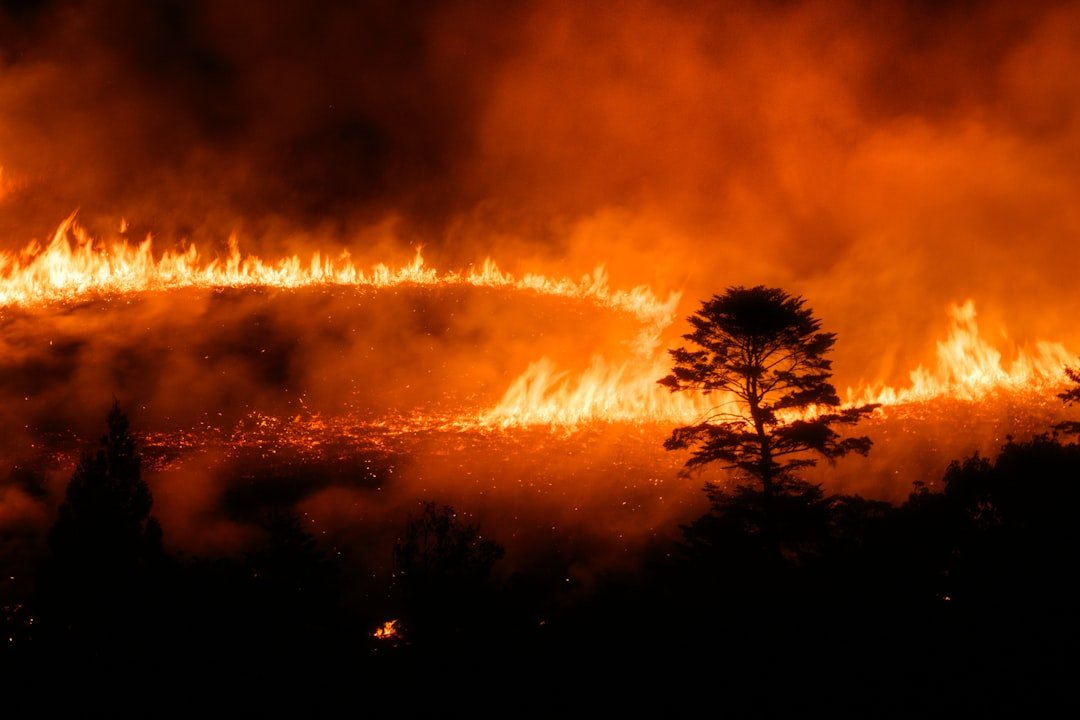 Why Wildfires Aren't Sleeping Anymore—And What It Means for Your Insurance