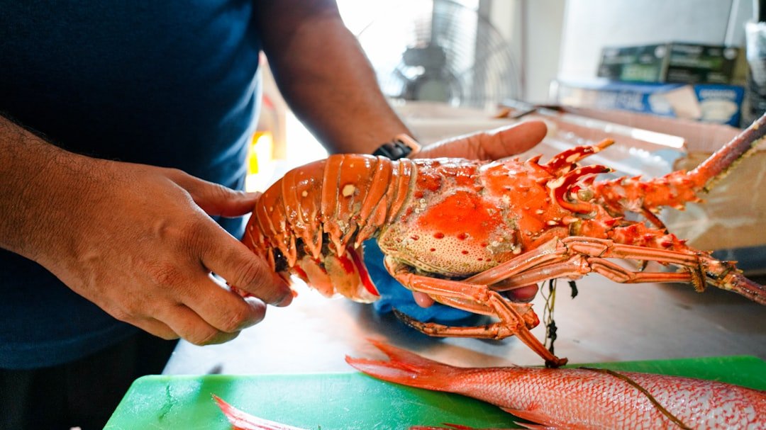 The Red Lobster Shrimp Fiasco: A Billion-Dollar Lesson in Executive Insurance