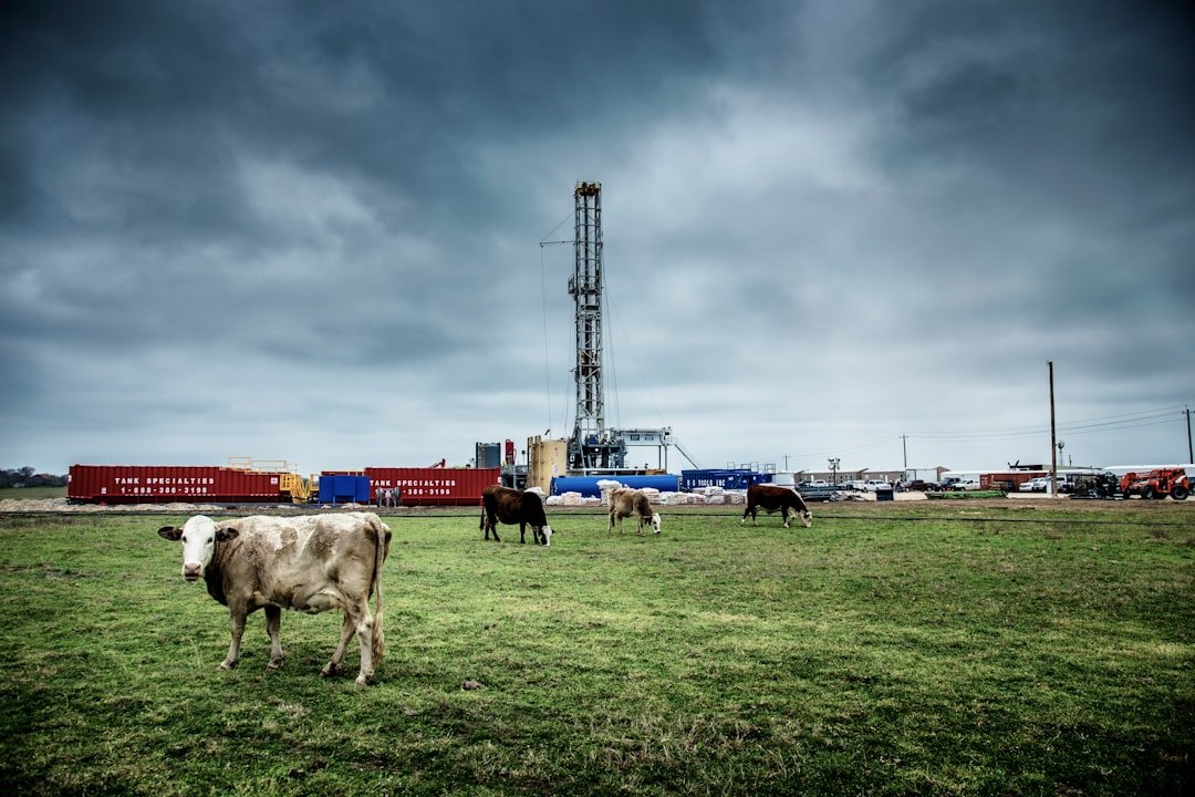 Is the Texas Chemical Coast a Catastrophe Waiting to Happen?