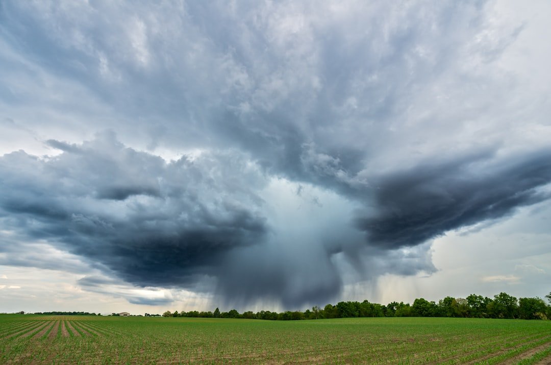 Philly's Microburst Aftermath: A Homeowner's Guide to Storm Damage and Insurance
