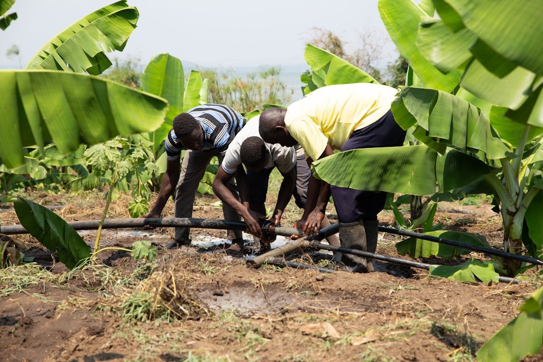 Ugandan Farmers vs. a $5.6B Pipeline: Why Insurers Are Watching This Lawsuit Closely