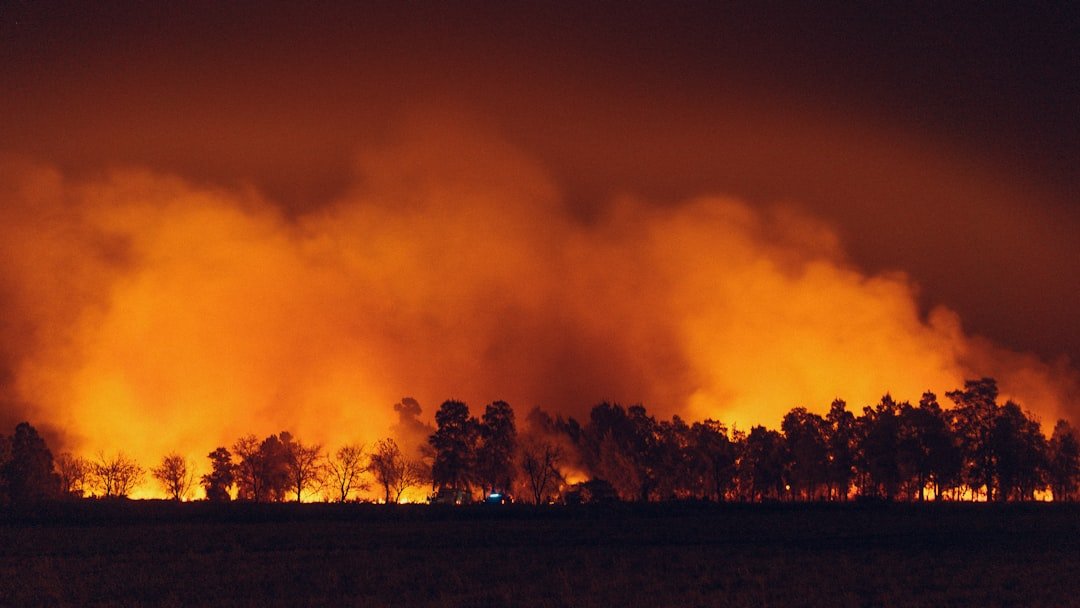 Wildfire Season's Brutal Test: How Stretched Resources Impact Your Insurance